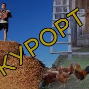 Курорт Йорга Каче