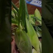 It S Anggi