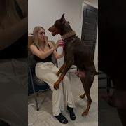 سكس كلب مع بنات