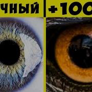 Обновляется Как У Орла