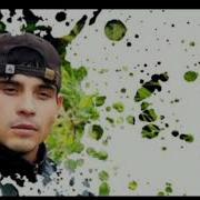 Минус Шохин Насими