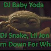 Dj Baby Yoda Dj Snake Lil Jon Turn Down For What