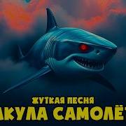 Акул Самолёт Песня Анимация