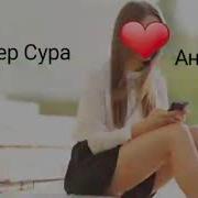 Мастер Сура Аниса