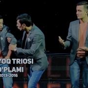 Gap Yoq Triosi To Plami