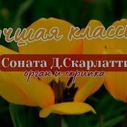 Соната Доминико Скарлатти Красивая Классическая Музыка
