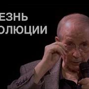 Веллер Революция