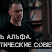 Психология Альфа Самца