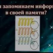 Сущность И Разум Левашов
