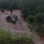Bridge Of Mpika Flooding