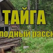 Слушать Аудио Рассказы Про Тайгу