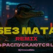 Dj Crocodildo Пусть Распускаются Цветы Без Мата Хит Лета 2025