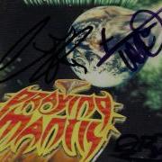 Praying Mantis The Journey Goes On
