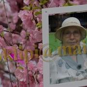 Поздравляю Бабушка С Юбилеем 80 Лет