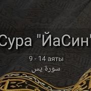 Выучите Наизусть Каждый Аят По 10 Раз Суря Ясин