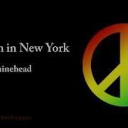 Shinehead Jamaican In New York