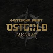 Goitzsche Front 2021