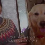 옥냥이 레오