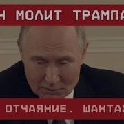 Путин Молит Трампа