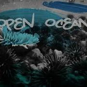 Mark Sherry Peetu S Emma Gillespie Open Ocean