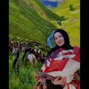 Пазилат Абдусаламова Нашид