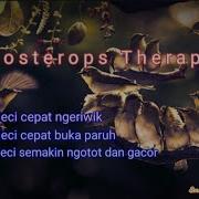 Smart Mastering Pleci