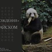 С Днем Рождения На Китайском