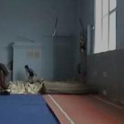 3 Взрослый Разряд По Спортивной Гимнастике