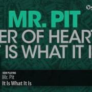 It Is What It Is Mr Pit