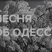 Песня Об Одессе Белая Акация