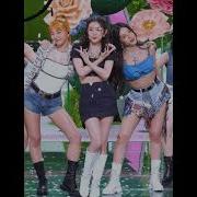 신테일 ㅈㅇ