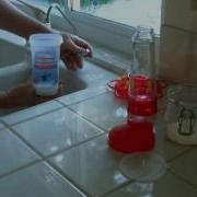 Shakers Hummingbird