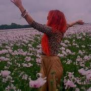 Neon Hitch