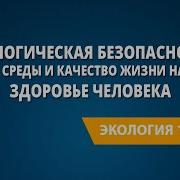 Экологическая Безопасность