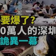 女性红绿灯
