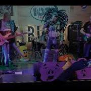 Fenderstaxx Pigs