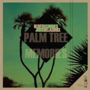 Palm Tree Memories N To Remix