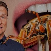 We Ate Bugs