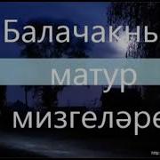 Вадим Захаров Балачак Сэпите