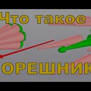 Технические Особенности Баллистической Ракеты