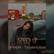 Амина Тендерлибае Speed Up