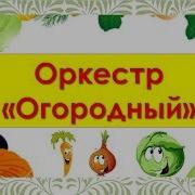 Огородный Оркестр