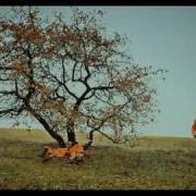 Последний День Земли