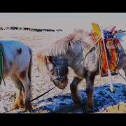Iher Duuchin Altanhundaga Altanbagana Agtnii Chimeetei Mongol Ихэр