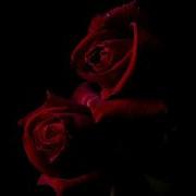 Manro Розы Slowed Reverb
