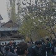 Далери Зарифи Туёна Дара Пичандар