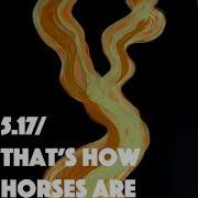 That S How Horses Are Thom Yorke