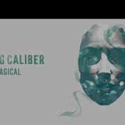Loving Caliber Feat Frank Moody