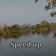 Малыш Димас Блог Speed Up