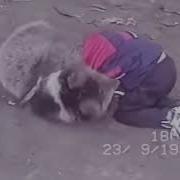 Молодец Хабиб Брат